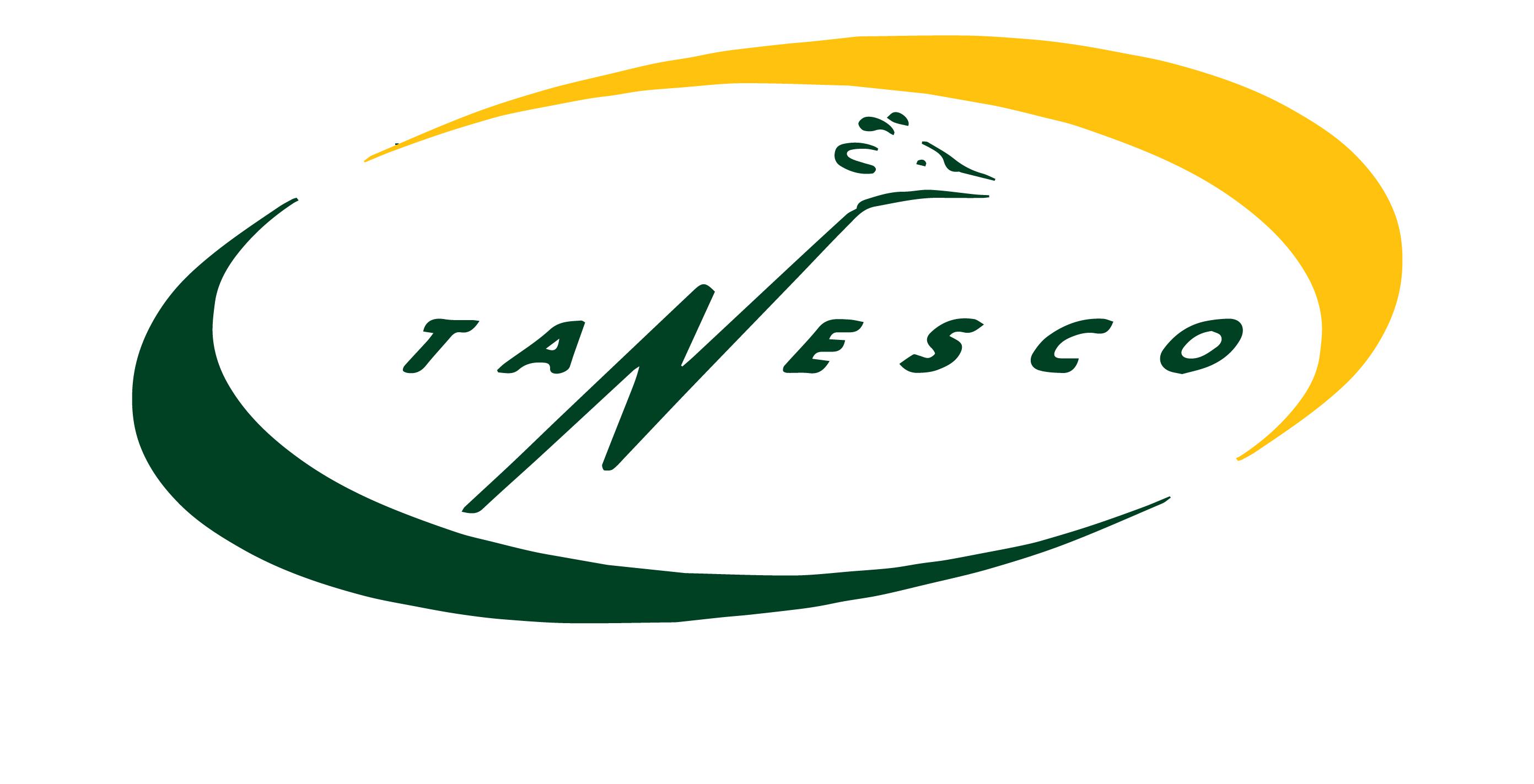 Tanzania Electric Supply